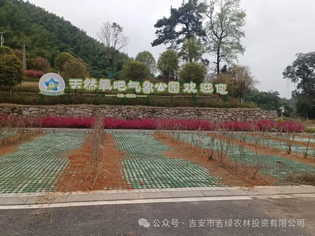 映山红绽新绿，携手共绘生态景